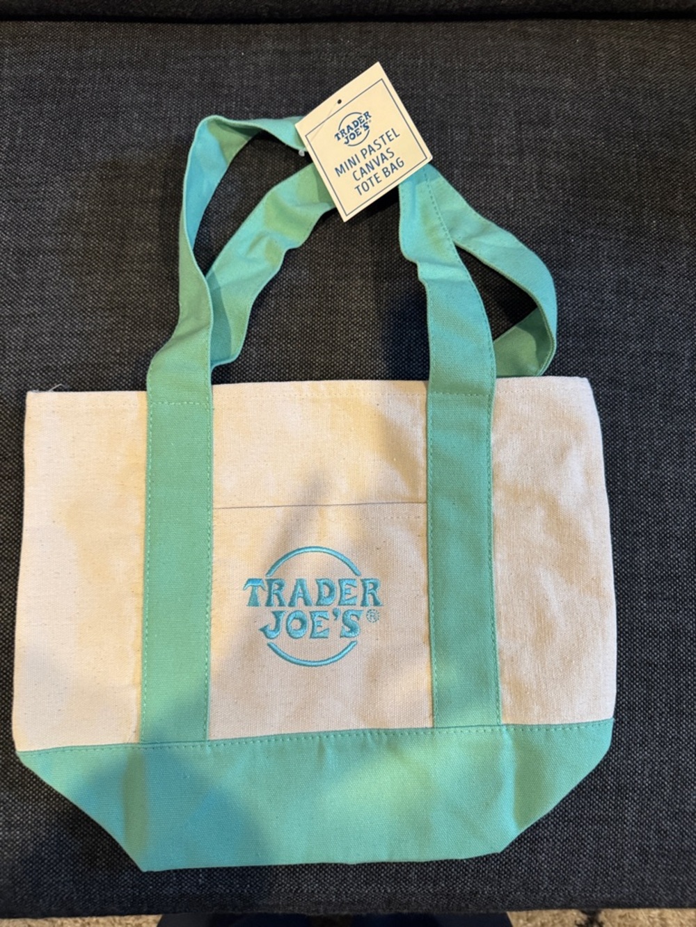Trader Joe's Mini Canvas Tote in Mint